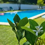 Holiday home Casa Branca Douroriver Meijoadas