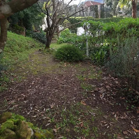 Vakantiehuis Casa Branca Douroriver