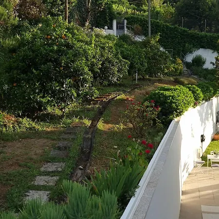 Casa Branca Douroriver Feriehus Meijoadas