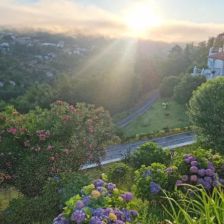 Casa Branca Douroriver * Meijoadas