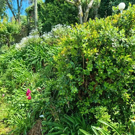 Casa Branca Douroriver Hébergement de vacances