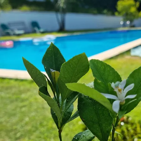 Feriehus Casa Branca Douroriver Meijoadas