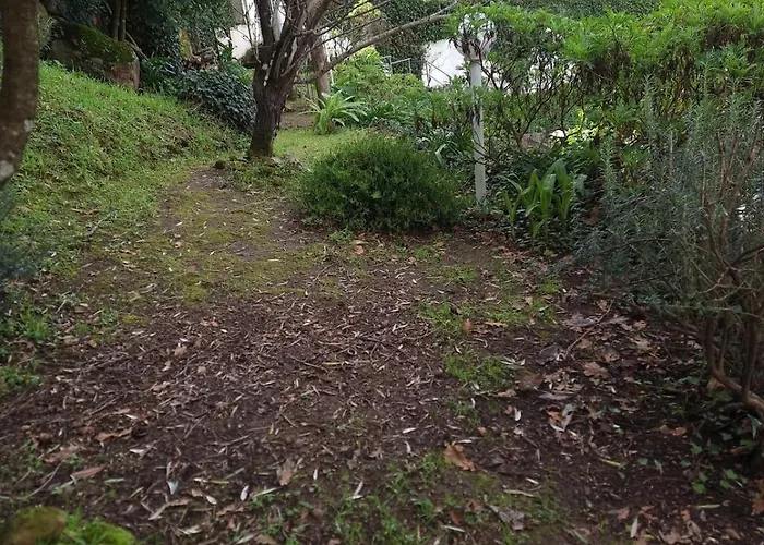 Hébergement de vacances Casa Branca Douroriver