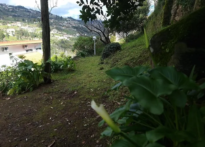 Casa Branca Douroriver Meijoadas