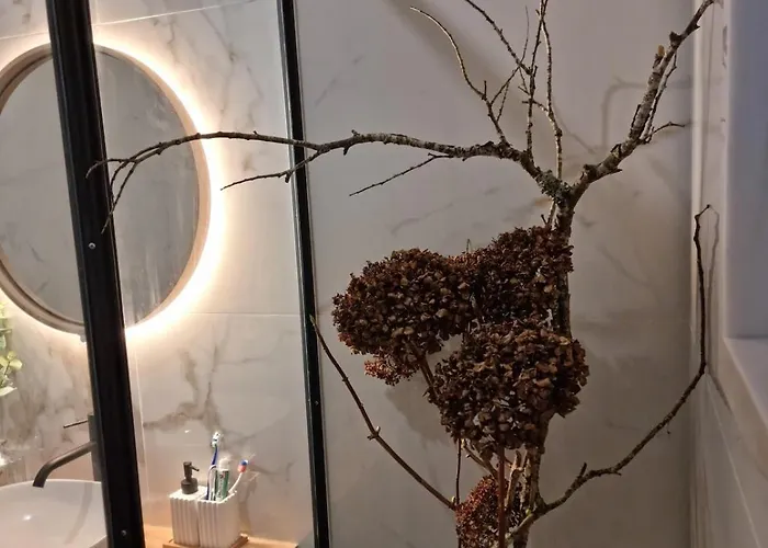 Casa Branca Douroriver *