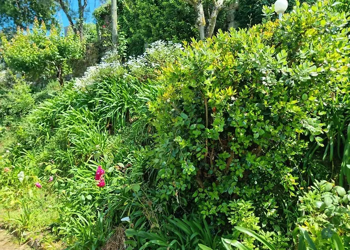 Casa Branca Douroriver Hébergement de vacances