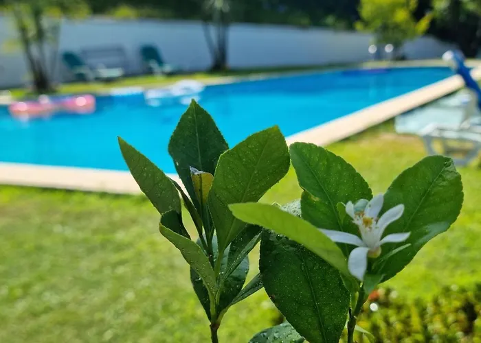 Holiday home Casa Branca Douroriver Meijoadas