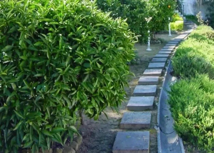 Holiday home Casa Branca Douroriver Meijoadas